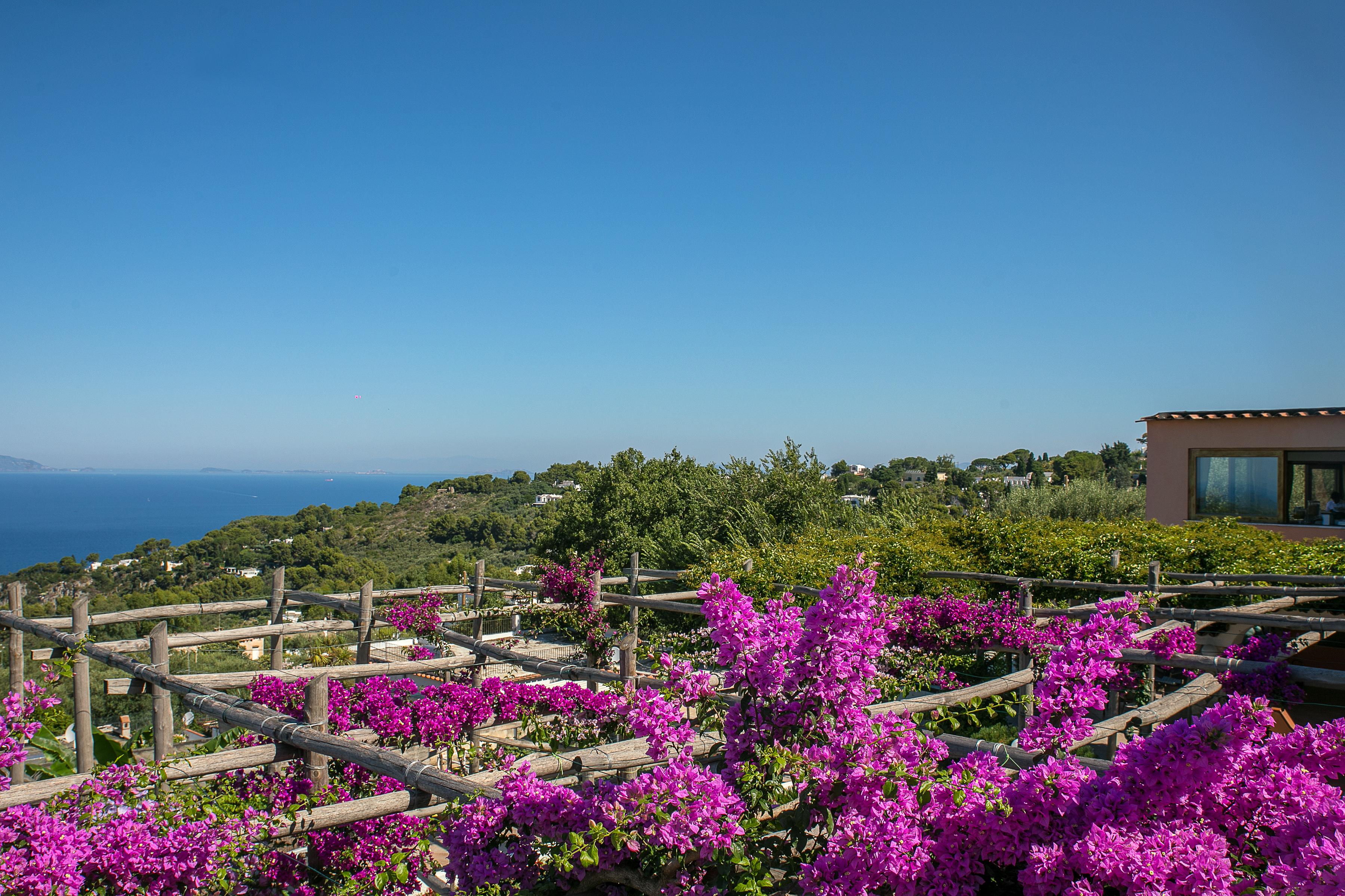 Il Girasole Hotel Anacapri (Isola di Capri)