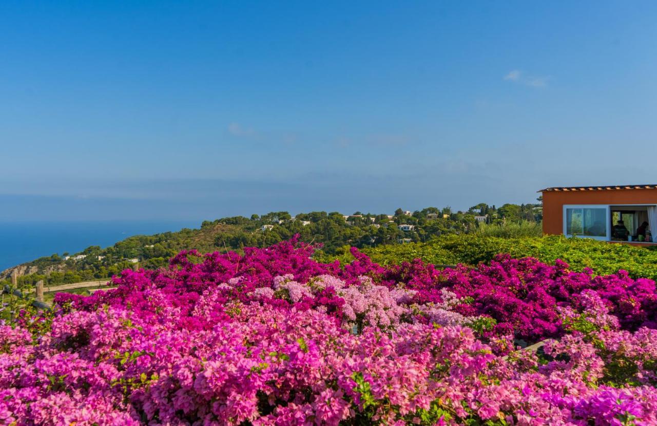 Il Girasole Hotel Anacapri (Isola di Capri)