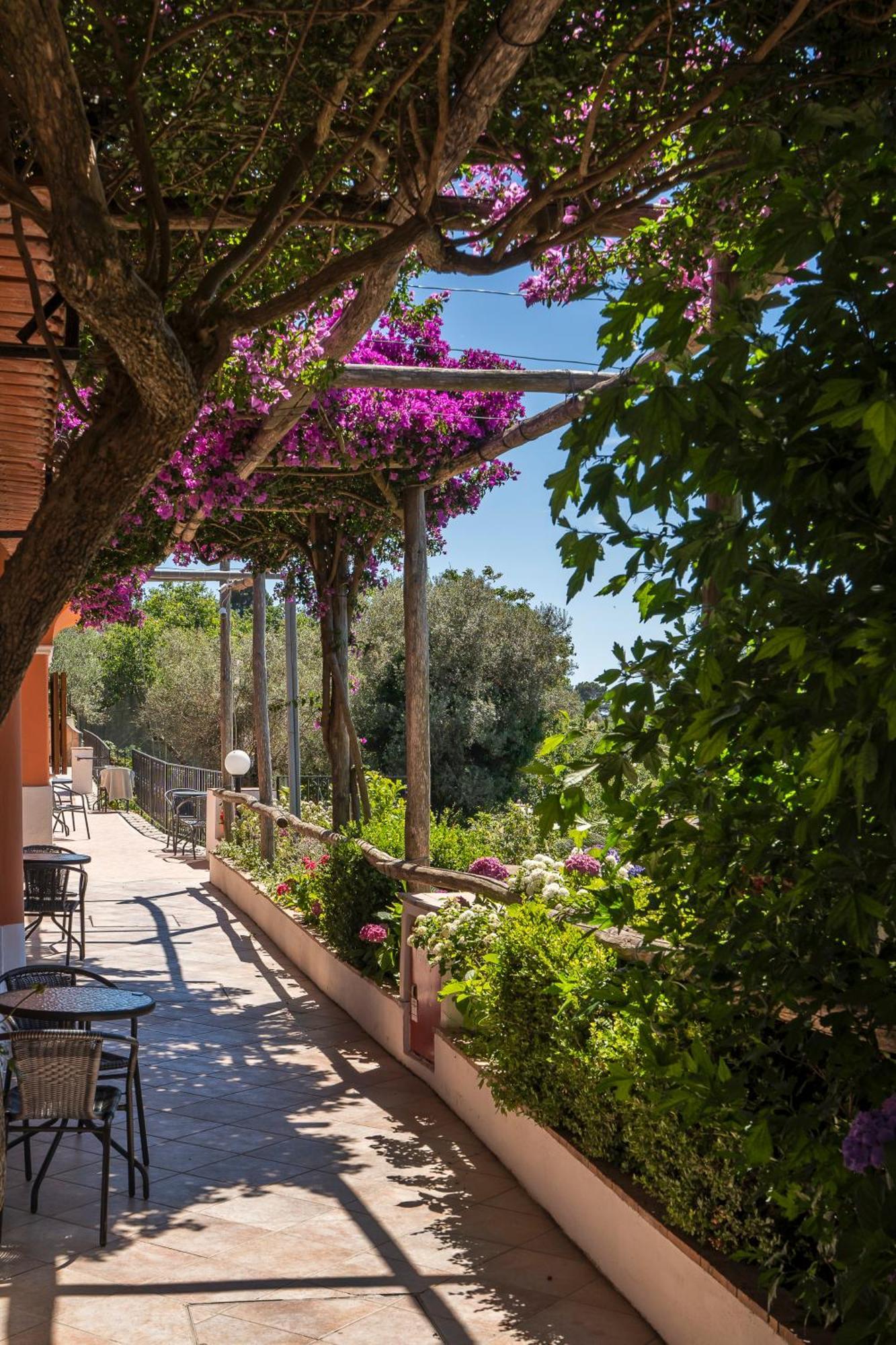 Il Girasole Anacapri (Isola di Capri)